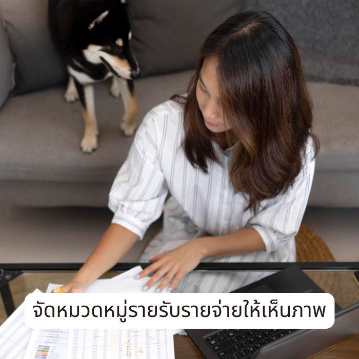 จัดหมวดหมู่รายรับรายจ่ายให้เห็นภาพ
